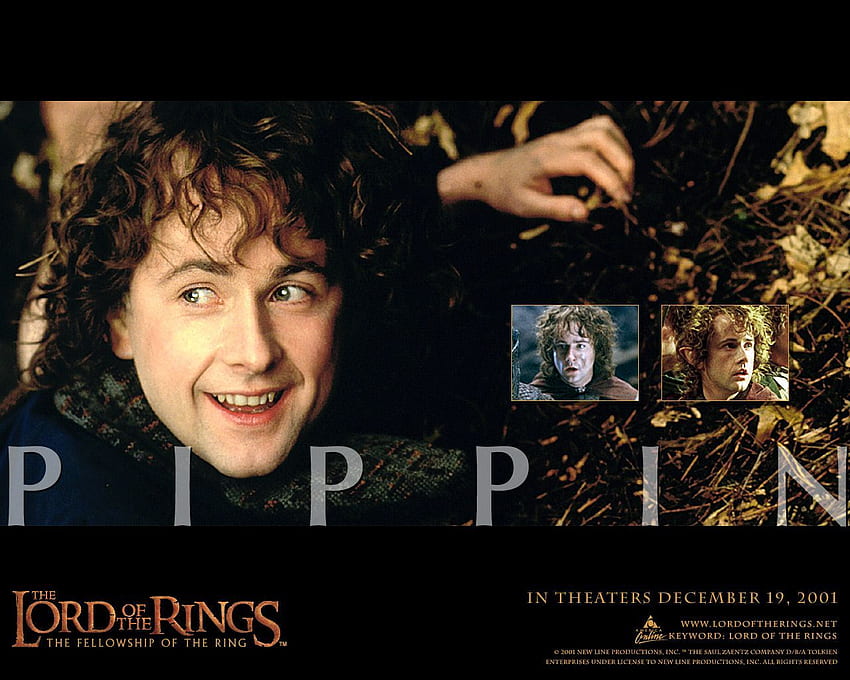 Lord of the Rings : The Lord of the Rings. Lord of the rings, Fellowship of the ring, The hobbit, Pippin HD wallpaper