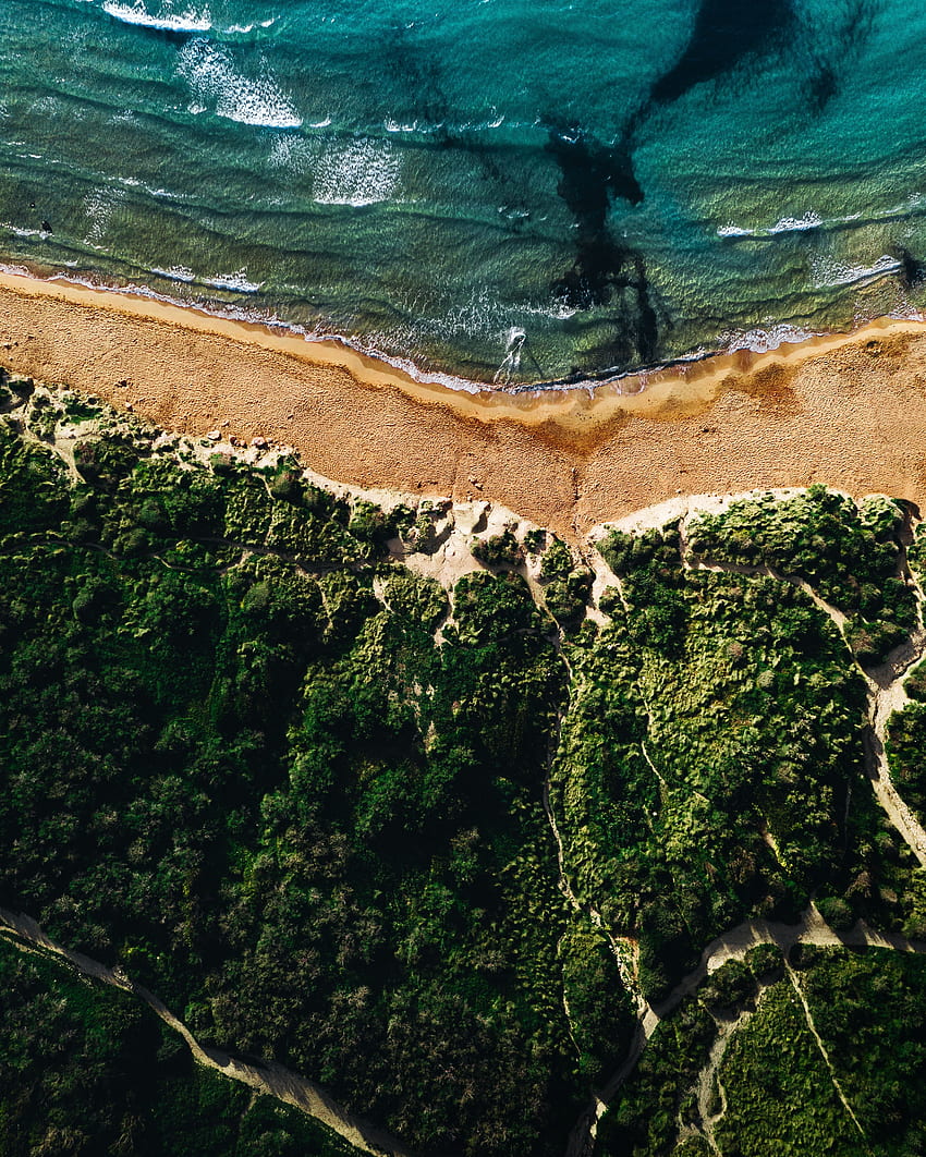 Naturaleza, mar, playa, arena, vista desde arriba, costa, vegetación, surf fondo de pantalla del teléfono