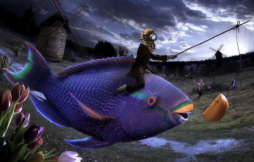 flowers, fish, humor, surreal, absurd for , section ситуации HD wallpaper