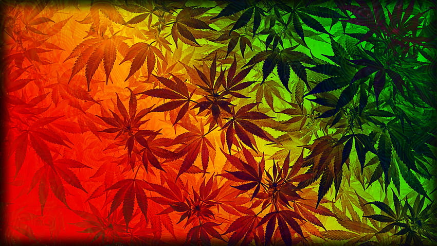 Ганджа, марихуана HD тапет