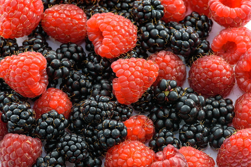 Food, Raspberry, Berries, Blackberry, Ripe, Juicy HD wallpaper