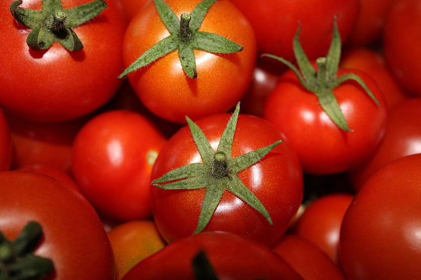 Jedzenie, Warzywa, Dojrzałe, Pomidory Tapeta HD