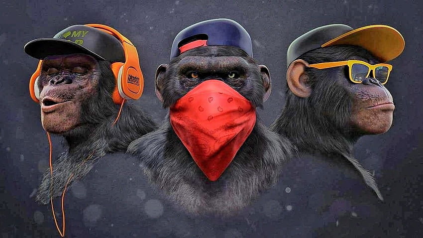Singe. Macacos, Fotografia rosto, Papel de parede celular fofo desenho Fond d'écran HD