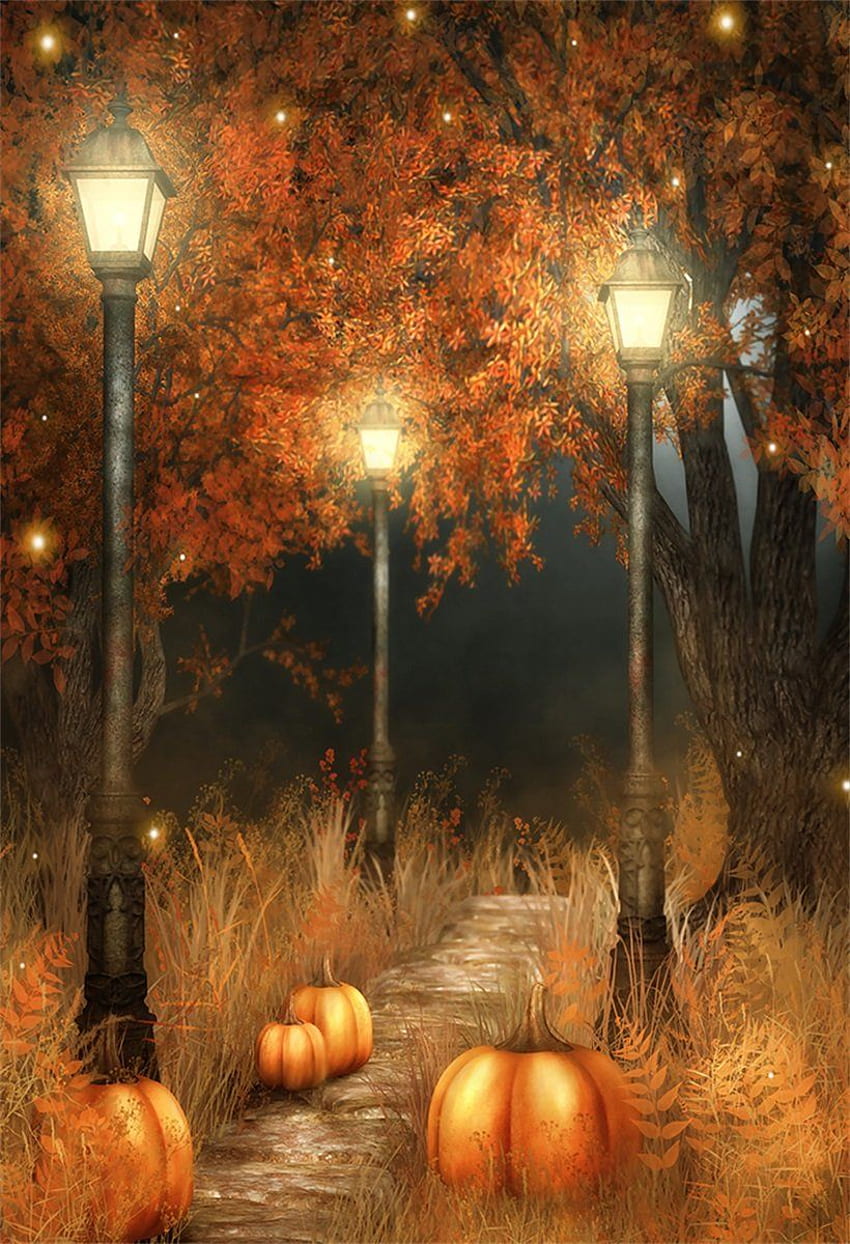 AOFOTO ft Halloween Pumpkin graphy Backdrop Fall Night Park Scenery Background Autumn Trees Withered Grass Glowworm Vintage Road Lamps, Vintage Thanksgiving Pumpkin HD phone wallpaper