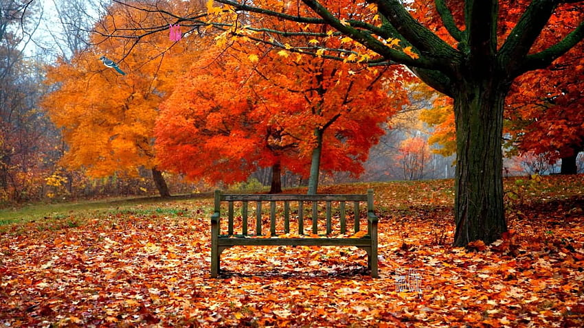 Schöne erste Tag der Herbstwünsche und einen glücklichen Herbst HD-Hintergrundbild