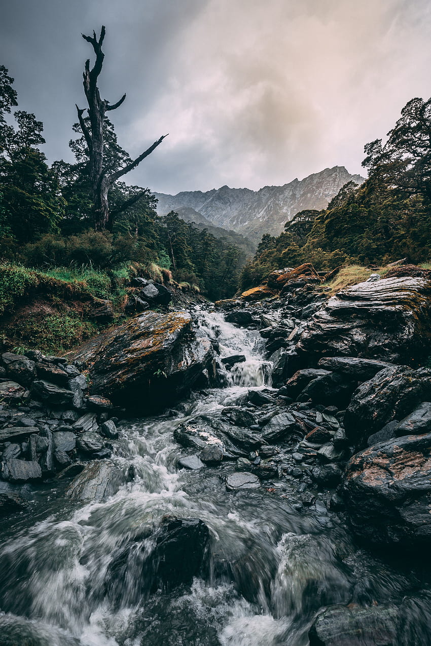 Natura, trawa, kamienie, góry, wodospad, przepływ Tapeta na telefon HD