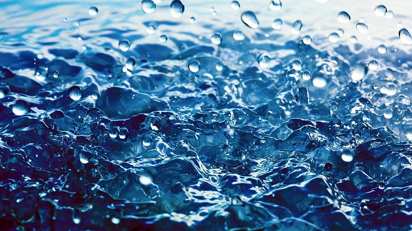 Water, Rain, Drops, Macro HD wallpaper