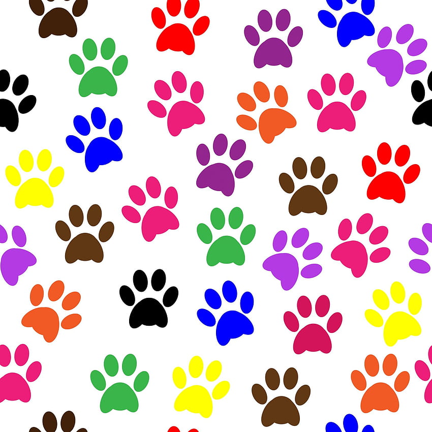 Colorful Paw Print, Colorful Dog HD phone wallpaper