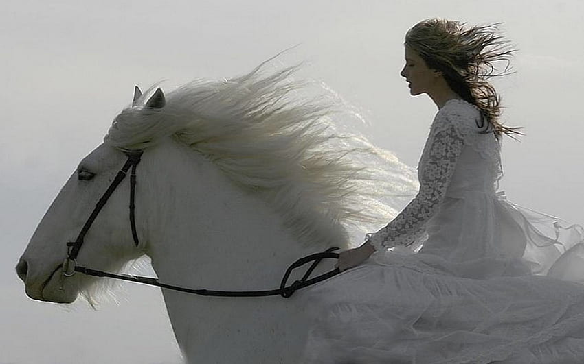 ragazza e cavallo, ragazza, cavallo, bianco Sfondo HD