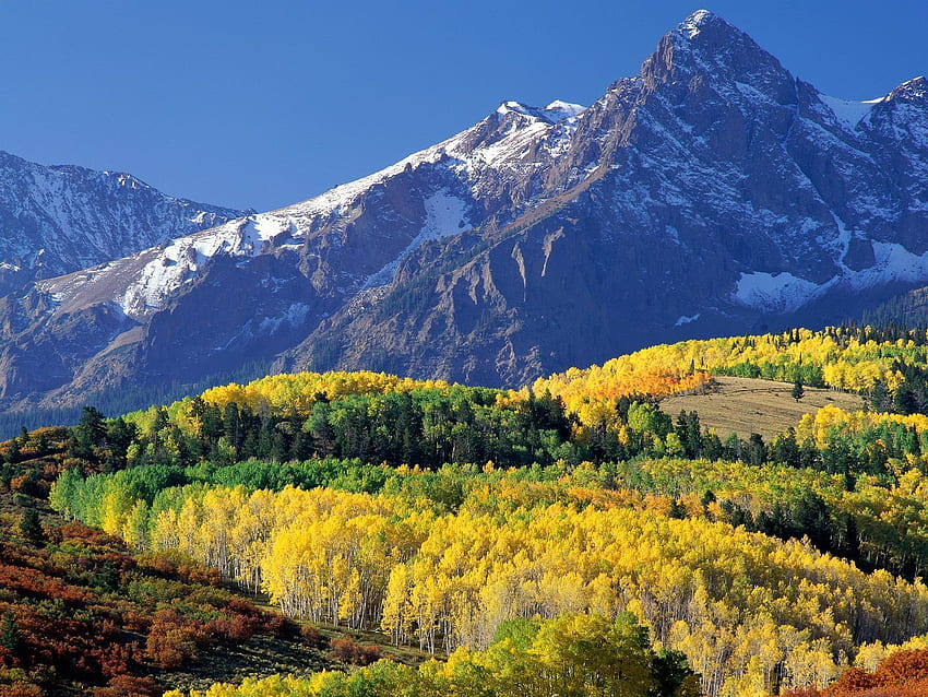 自然, 山, 秋, 森林, コロラド州, スネフェル山 高画質の壁紙
