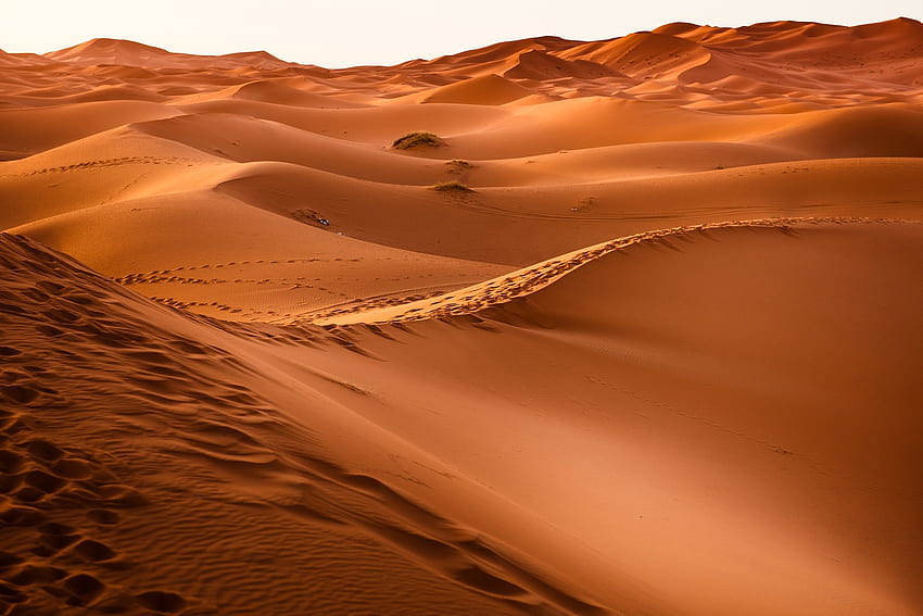 砂の砂漠、茶色、砂、砂丘、砂、黄褐色、砂漠、自然 高画質の壁紙