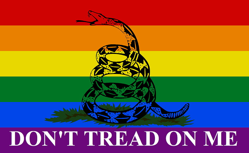 Gadsden Rainbow Flag (mise à jour) : Libertaire Fond d'écran HD
