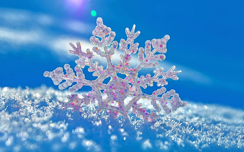 Tło Płatka śniegu Dla, Różowa Zimowa Kraina Czarów Tapeta HD
