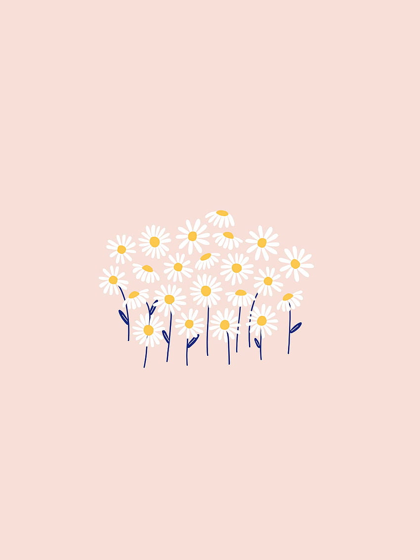 Daisy , tablet and phone . Daisy, Aesthetic Doodle HD phone wallpaper