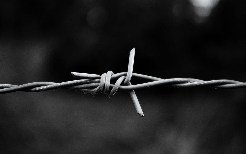 barbed wire fence background