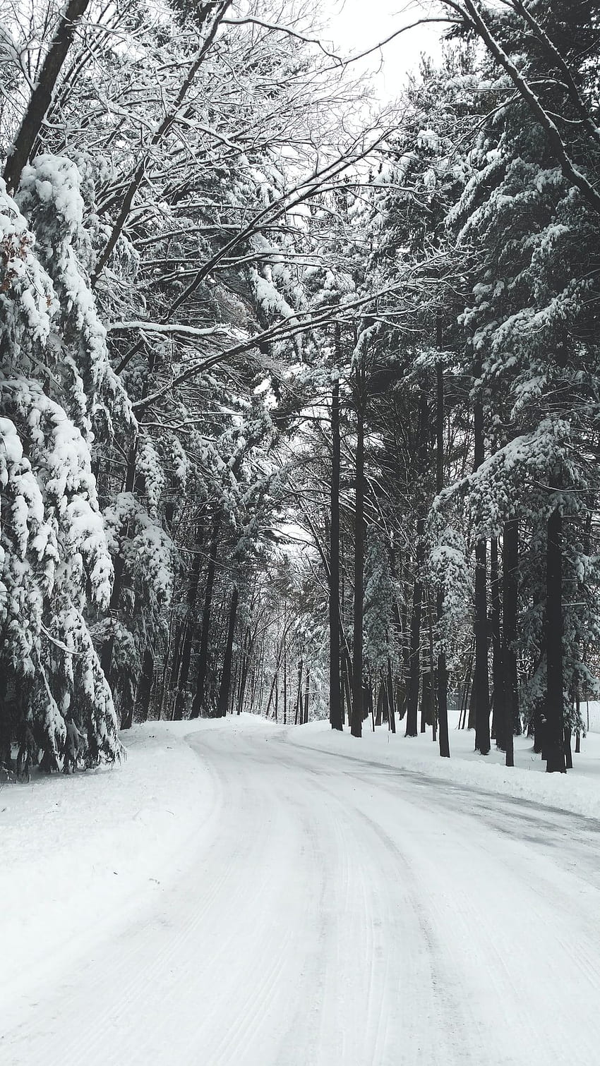Nieve: [HQ], paisaje nevado fondo de pantalla del teléfono