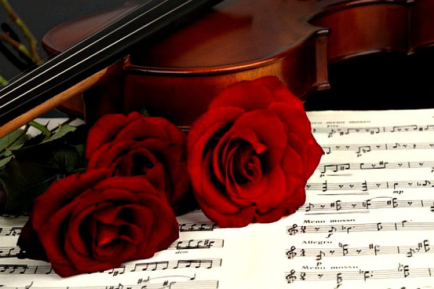 ROSES ARE RED MY LOVE, rosas, violino, natureza morta, música, musical, vermelho, canções, vintage, instrumentos papel de parede HD