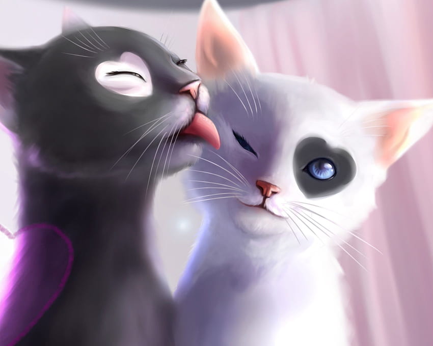 Cat Lovers, Black and White Cat Art HD wallpaper
