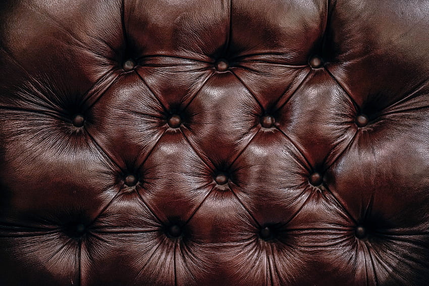 Texture, Textures, Surface, Leather, Skin HD wallpaper