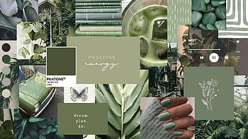 Sage green floral, aesthetic, girly, flowers, sage green, cute, flower ...