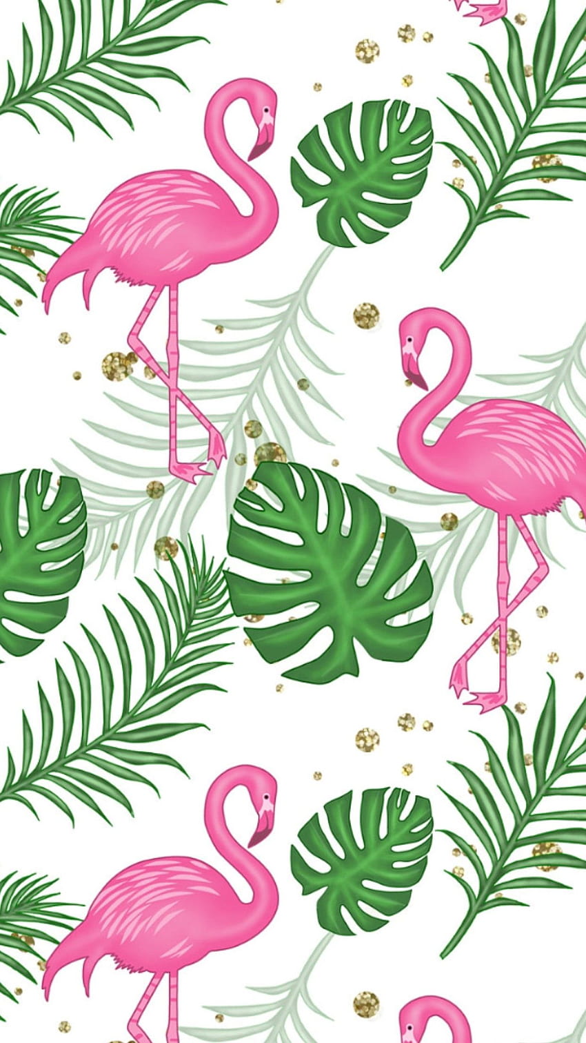 iPhone . Bird, Flamingo, Pink, Water bird, Greater, Cute Flamingo HD phone wallpaper