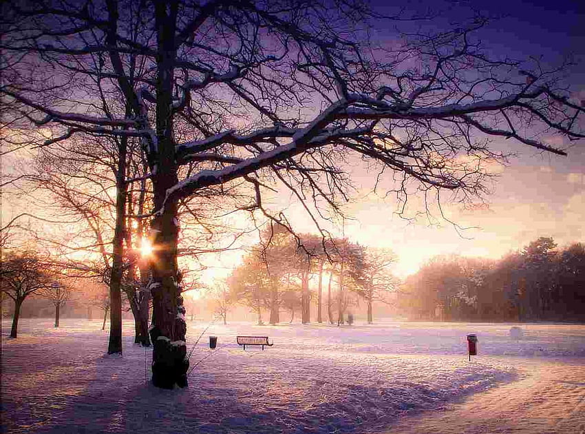 Sunset snow, winter, sunsets, snow, trees, nature, colourful HD wallpaper
