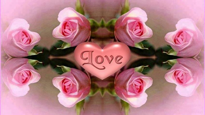 Pink Love, pink, flowers, roses, love HD wallpaper
