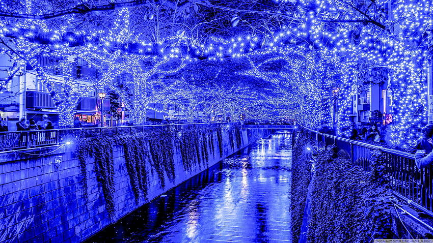 Tokyo Blue Grotto Japan for Ultra, Japanese Winter Lights HD wallpaper ...