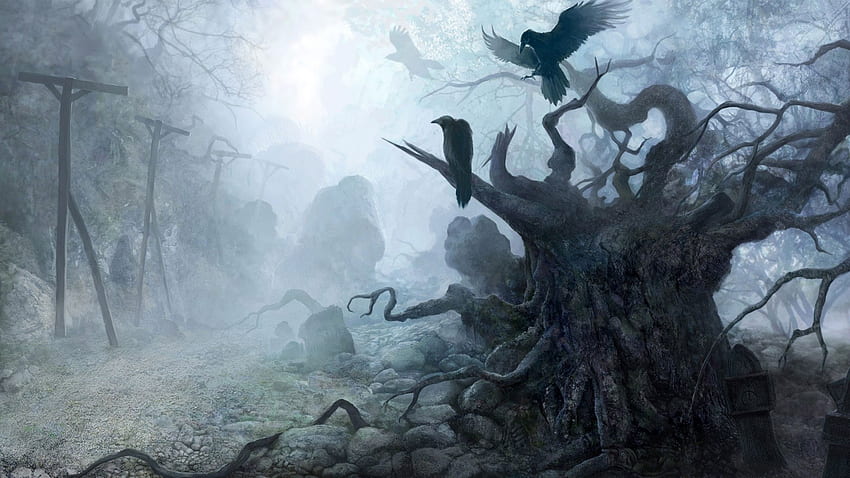 : Dunst, Baum, Krähen, Nebel, Tod, Vögel, gespenstisch HD-Hintergrundbild