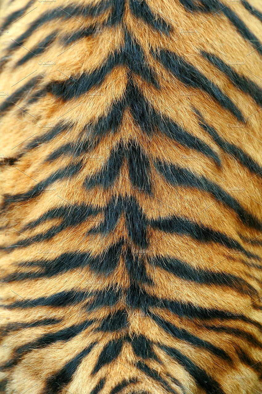 Skin Tiger, Tiger Pattern HD phone wallpaper | Pxfuel