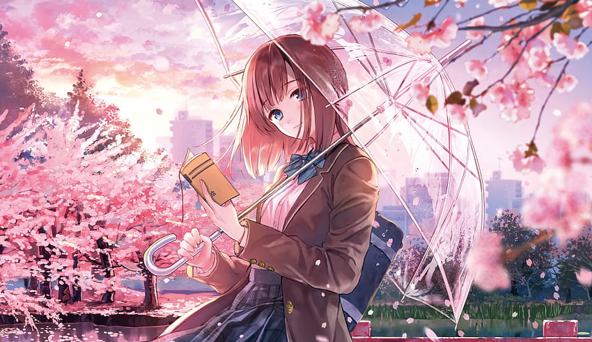 Blossom, anime girl, beautiful HD wallpaper