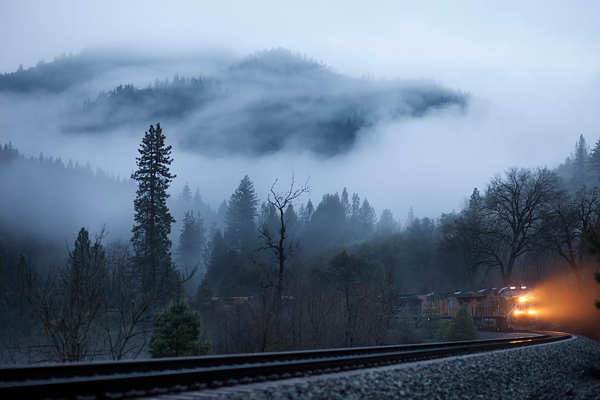 Natura, alberi, lucentezza, luce, nebbia, ferrovia, treno Sfondo HD