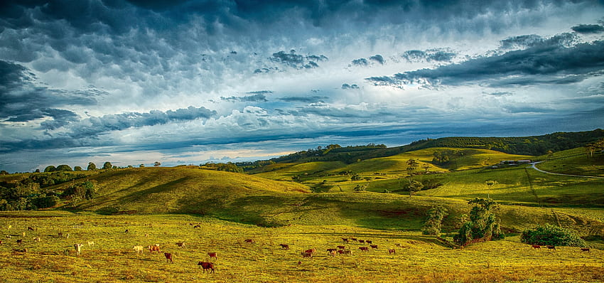 Hills, landscape, clouds, sky, Byron Bay, Australia HD wallpaper