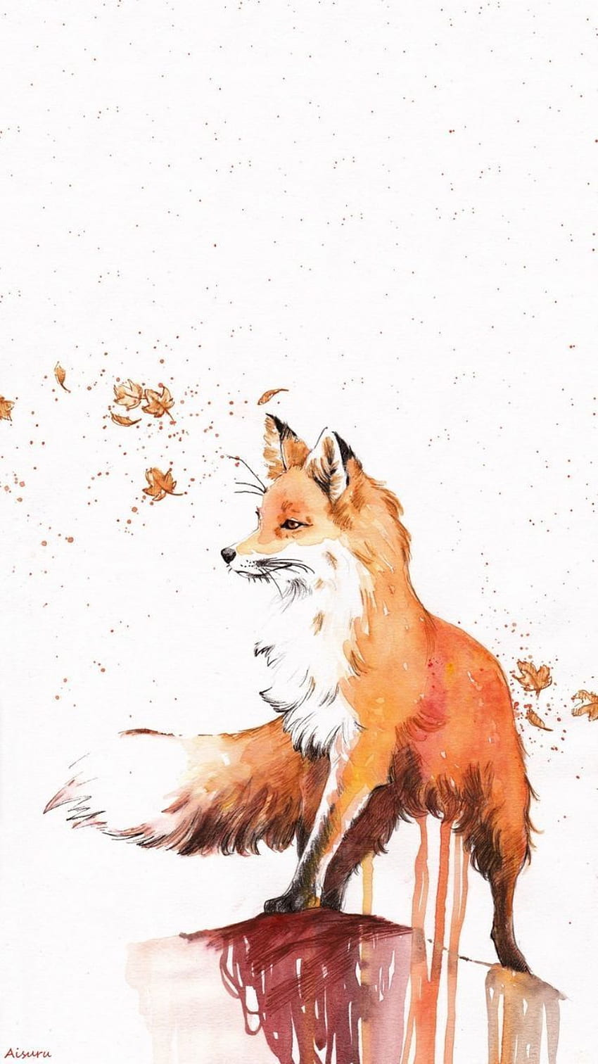 cute fox HD-Handy-Hintergrundbild