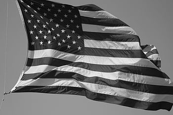 4680 American Flag Black And White Stock Photos HighRes Pictures and  Images  Getty Images