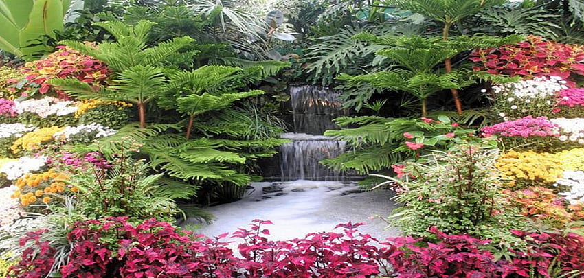 keindahan taman, pink, putih, kuning, hijau, warna, bunga, air, kolam Wallpaper HD