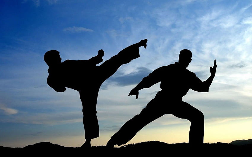 Os 10 principais canais de artes marciais no YouTube, defesa pessoal papel de parede HD