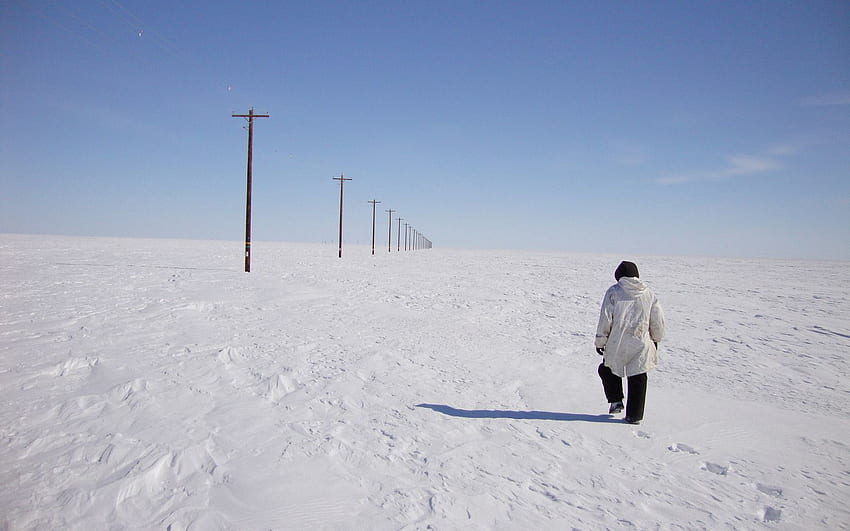 Snow, , , Human, Person, Traces, Tundra HD wallpaper