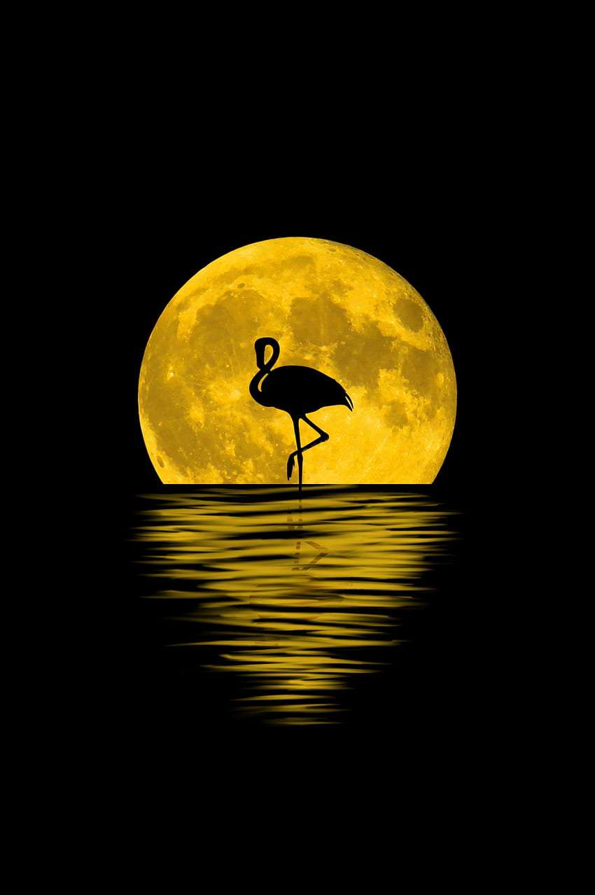 Flamingo, moon, silhouette, reflections, digital art HD phone wallpaper
