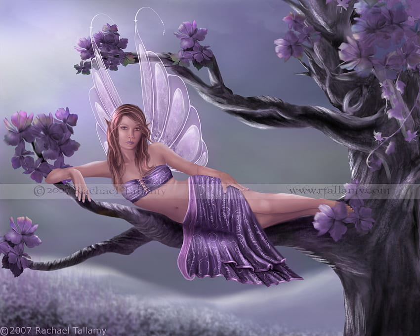 Peri_ Violet, peri, terbang, fantasi, ungu Wallpaper HD