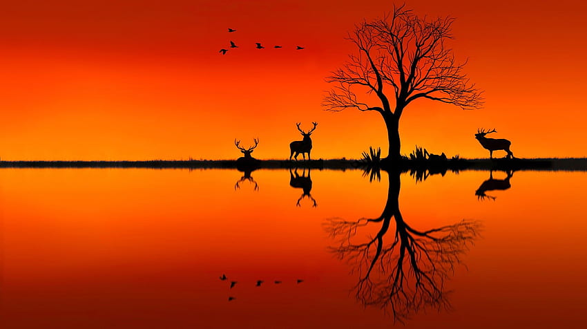 Elk On Horizon Sunset Evening, Animals, , , Background, and, Nature Drawing  HD wallpaper | Pxfuel