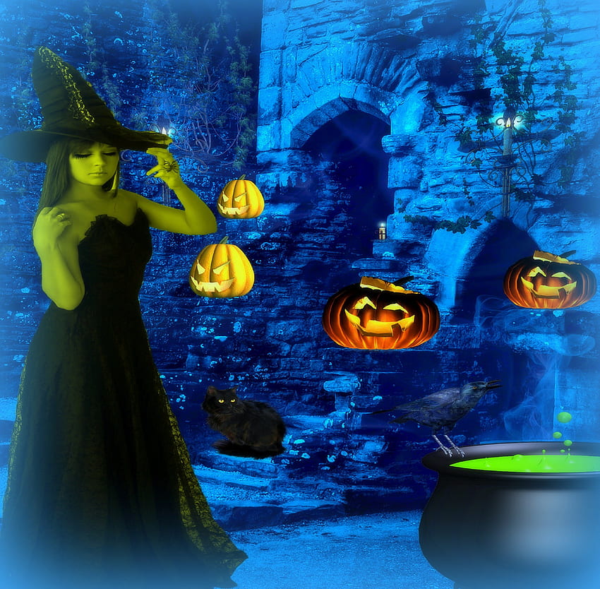 ~Halloween Midnight~, malam, bulu mata, kuali, penyihir, labu, halloween, liburan, 31 Oktober, topi penyihir, model, sihir, lampu, tengah malam, hal-hal aneh yang dikenakan orang, kucing, latar belakang, gelap, kreatif buatan awal, gagak , fantasi, manipulasi, gadis, wanita Wallpaper HD