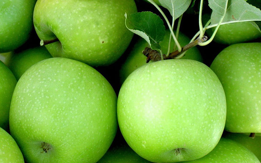 Green Apple 2 - Green Apple, Fruit HD wallpaper