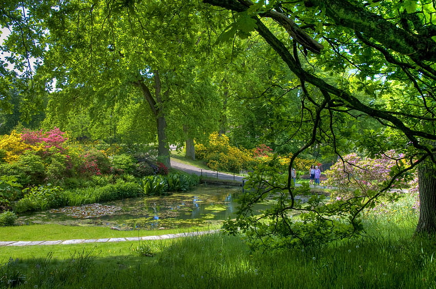 人, 自然, 木, 庭, 池, 静けさ 高画質の壁紙