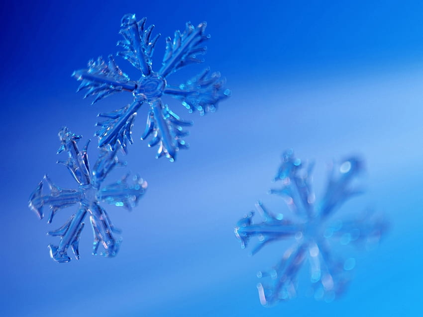 Background, Snowflakes HD wallpaper