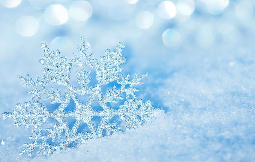 ice, winter, macro, snow, nature, ice, snowflake, bokeh HD wallpaper