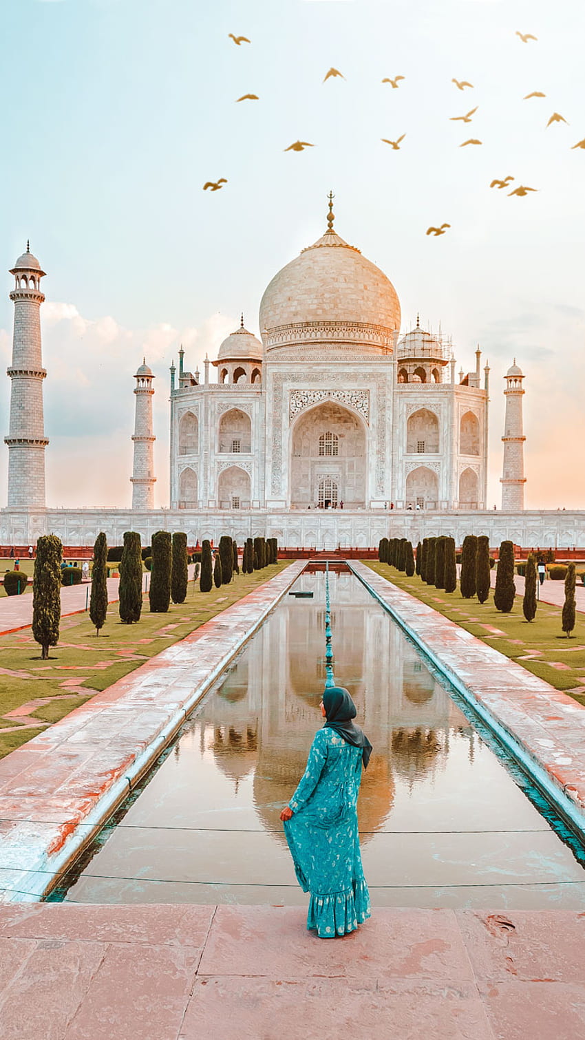 Taj Mahal, patrimoine mondial Fond d'écran de téléphone HD