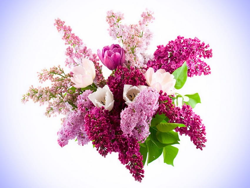 Touch of May, lilacs, flowers, tulips, arrangement HD wallpaper