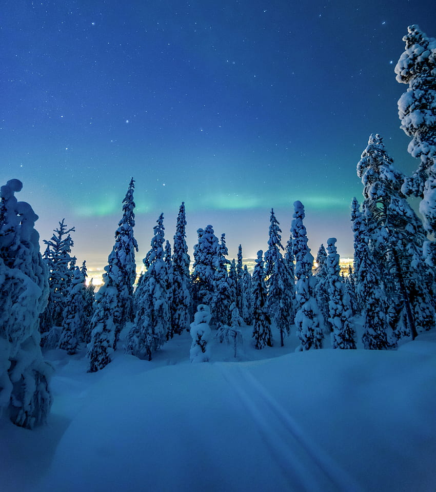 Winter, dawn, colorful sky, trees HD phone wallpaper