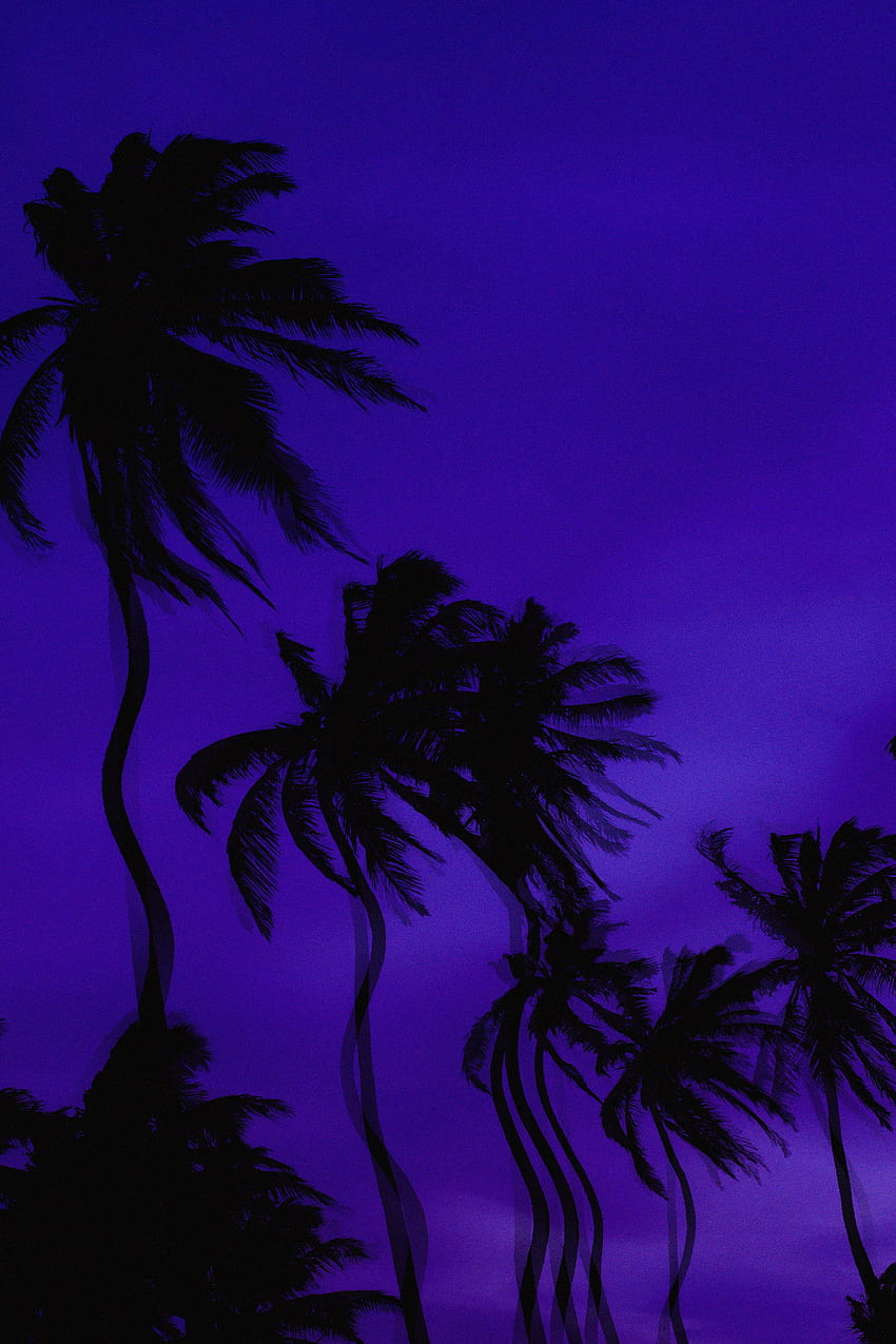 Palms, Dark, Distortion, Illusion HD phone wallpaper